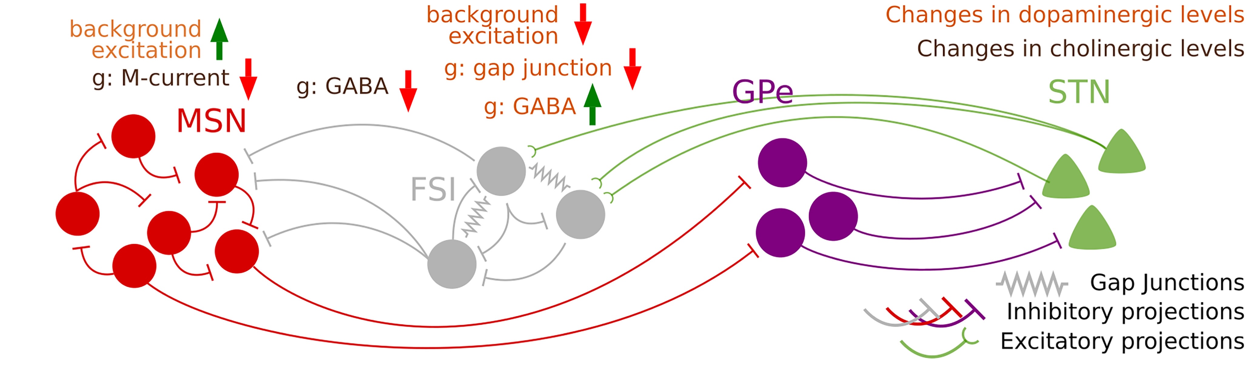 Full basal ganglia model in Parkinsonian conditions