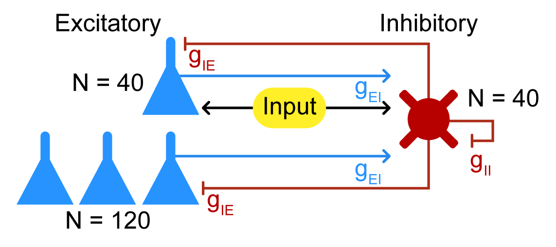 PING network structure