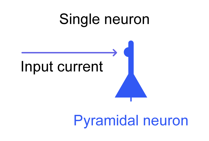 fig1