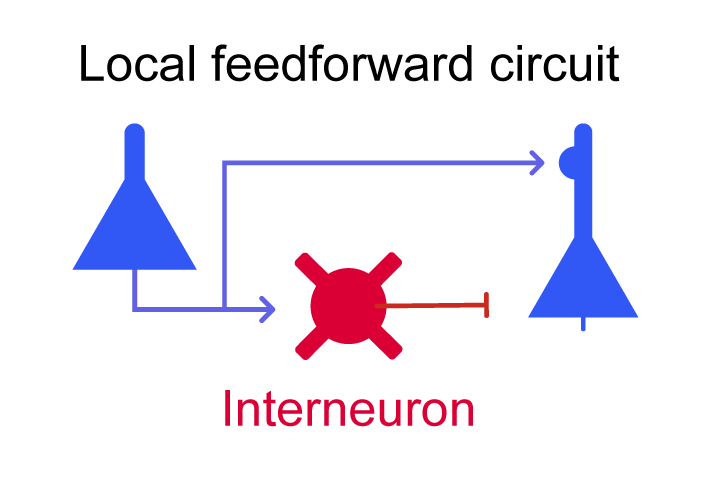 fig2