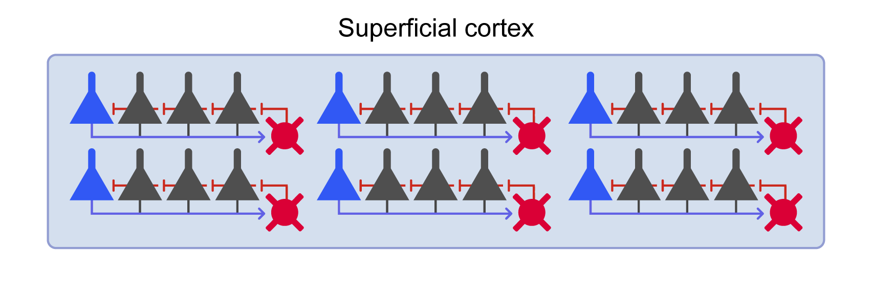 Cortical circuit with multiple WTA microcircuits